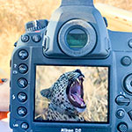 camera