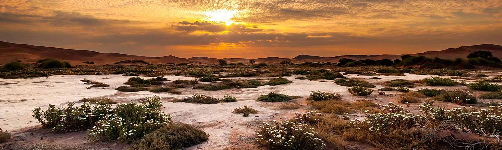Namibia – Discover the Land of Endless Wonders