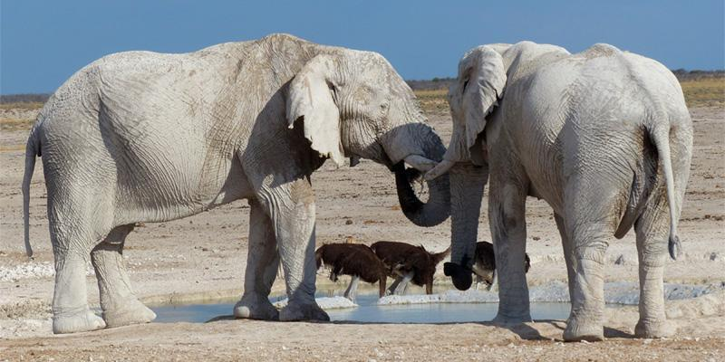 Namibia Country Tours