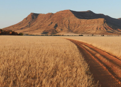 Kaokofeld Namibia Tour